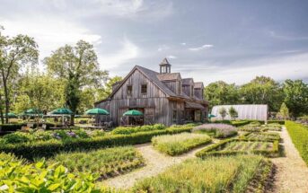 spring break in New Jersey, beach plum farm