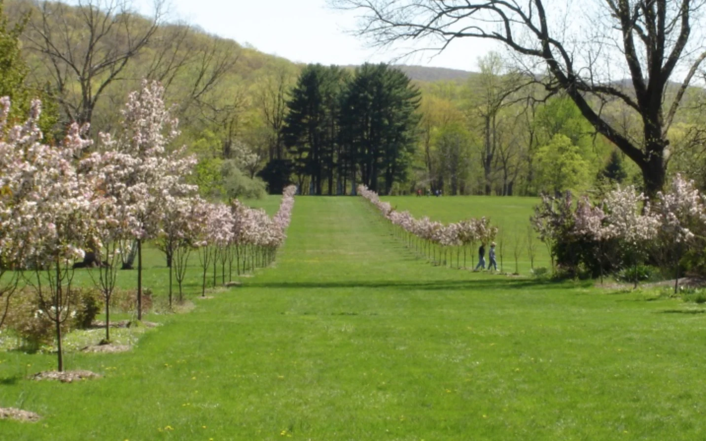 New Jersey Botanical Garden nj mom