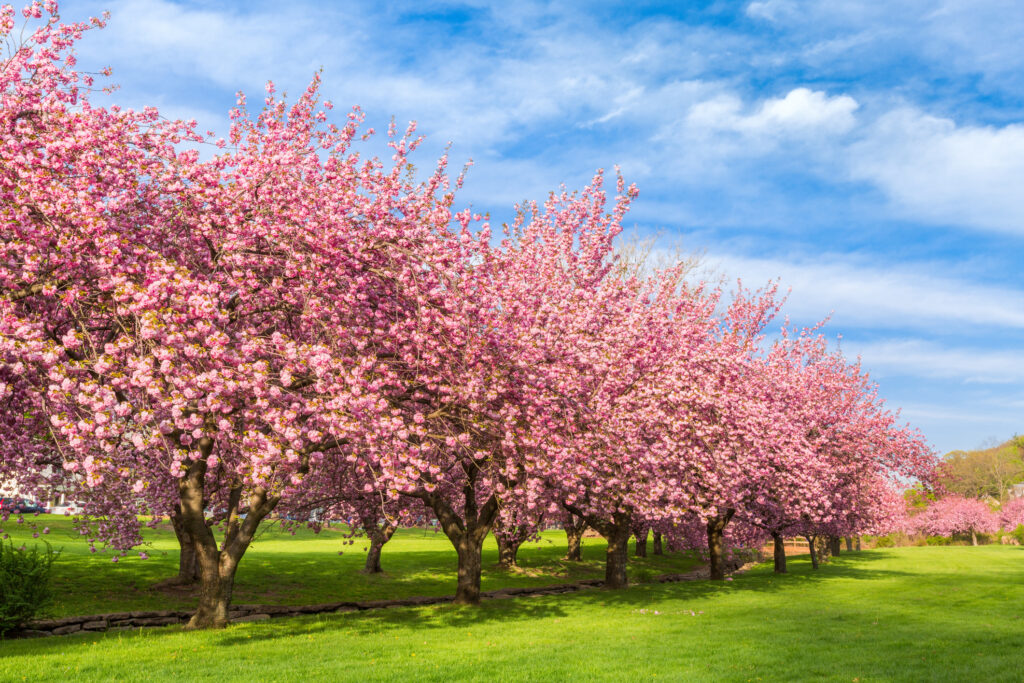 18 NJ Parks To Explore In 2024