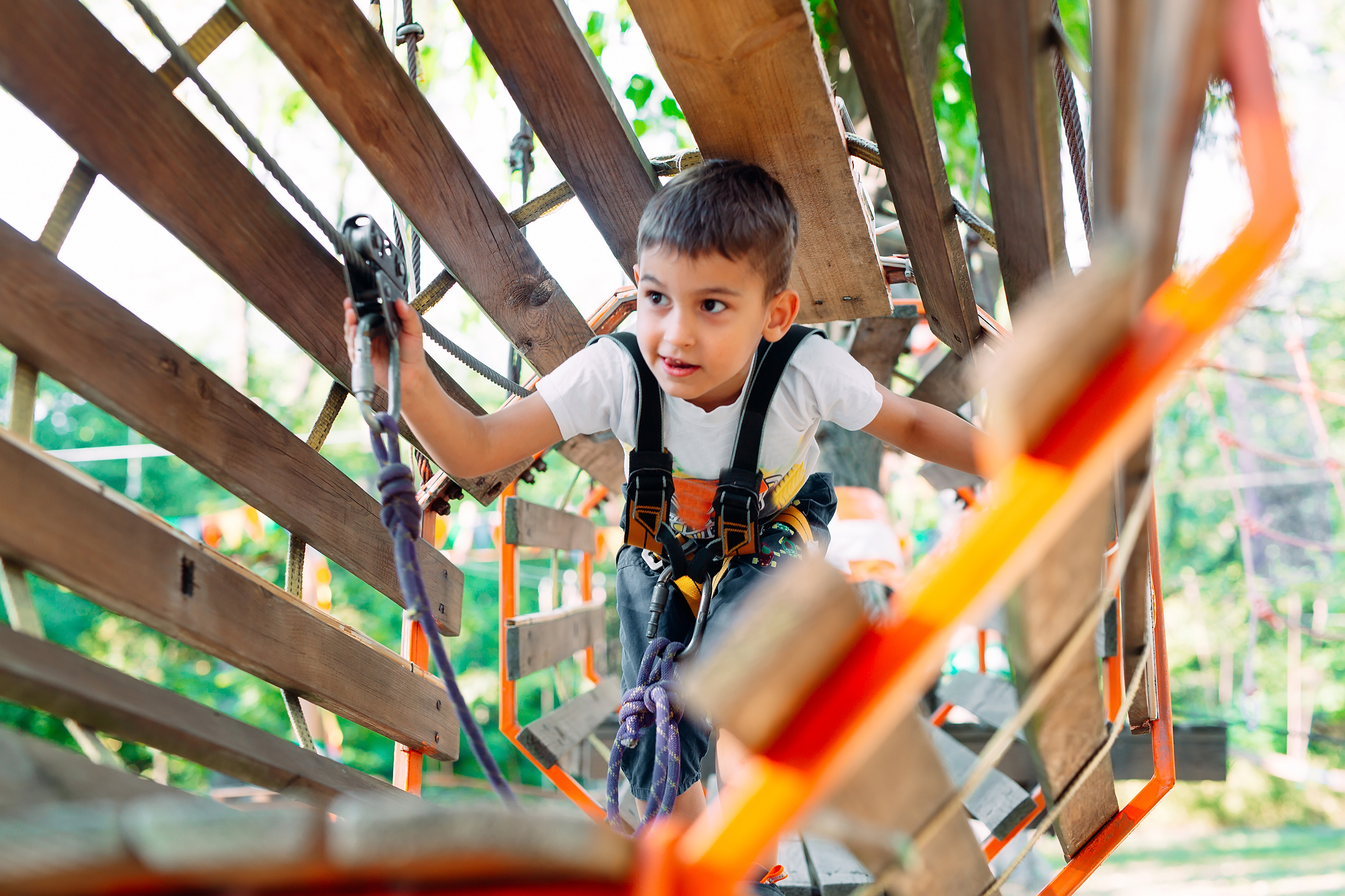 Art Camp - Visual Arts Center of New Jersey