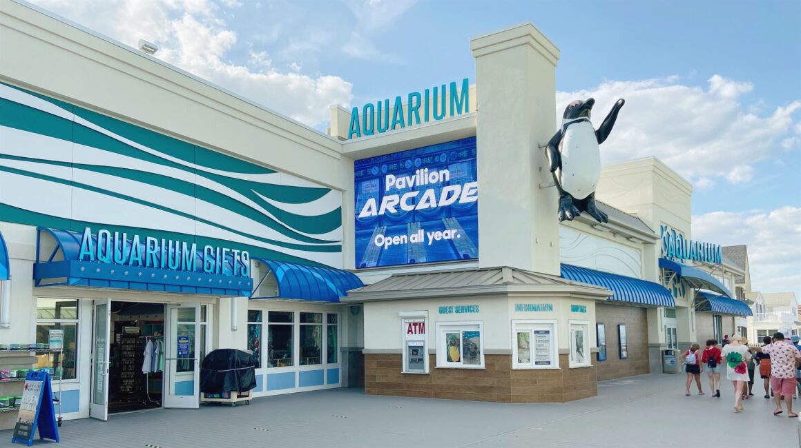 Jenkinsons aquarium