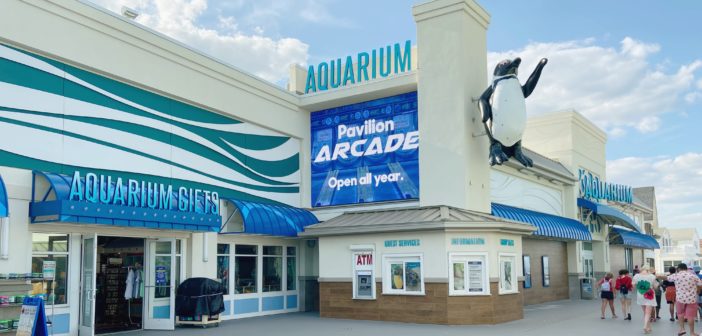 Jenkinsons aquarium