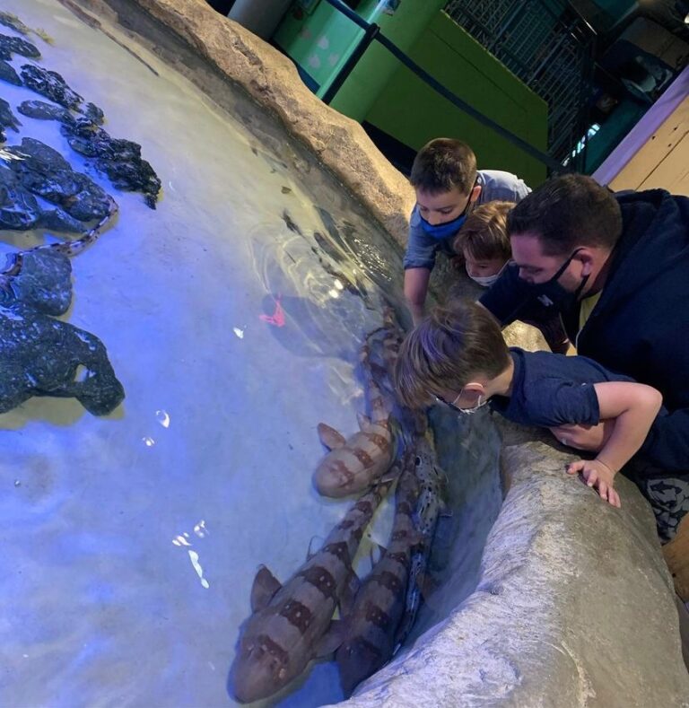 6 Things To Know About Adventure Aquarium in Camden NJ - ADventureaquariumnjcamDen 768x789