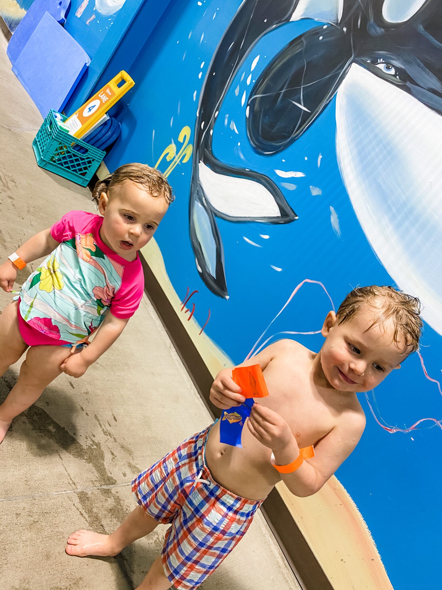 Clash Of The Swim Schools: British Swim School Vs Goldfish