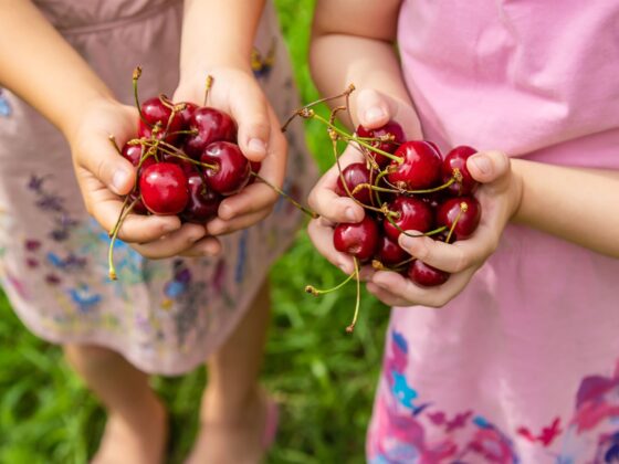 Cherry Picking in NJ