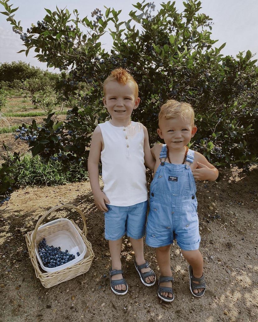 Blueberry picking in New Jersey