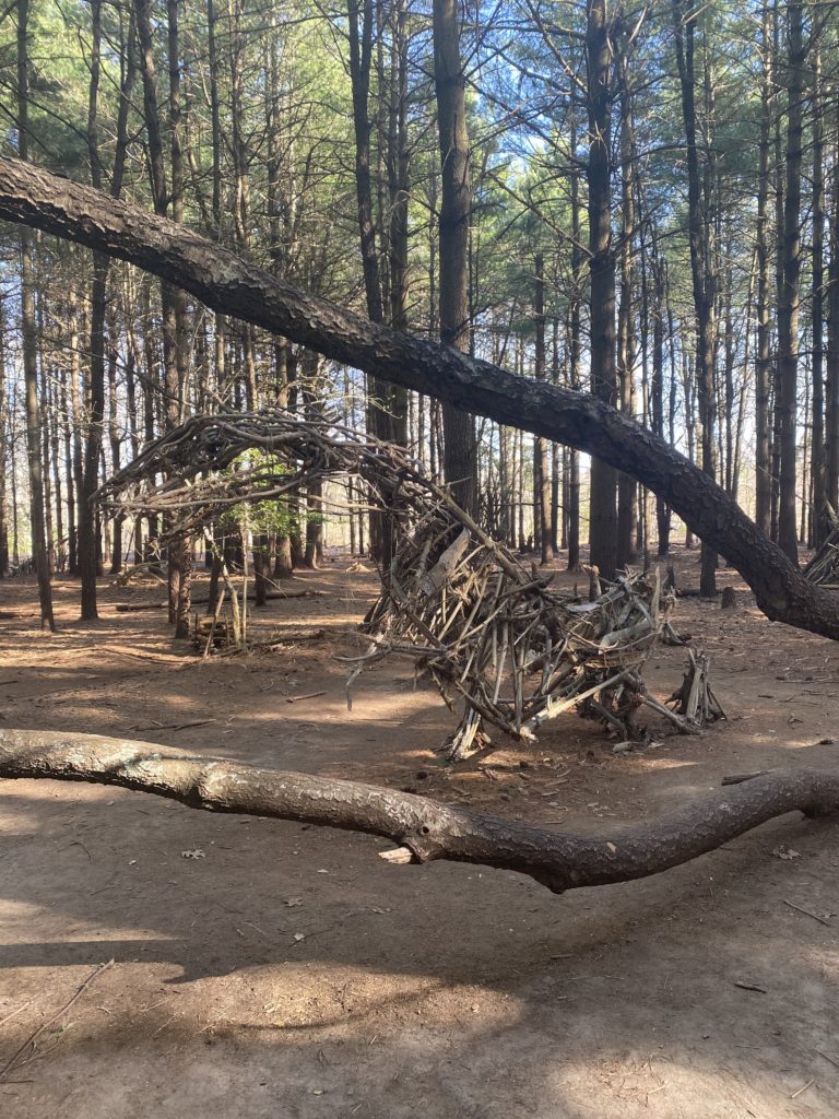 dinosaurs at allaire state park