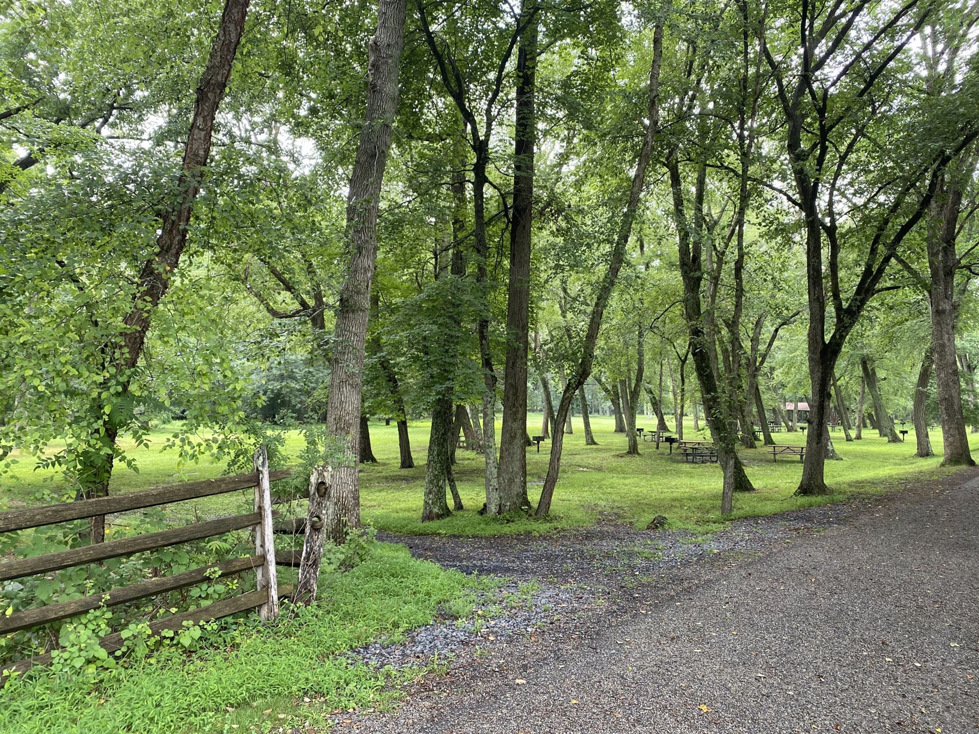 Allaire State Parks path