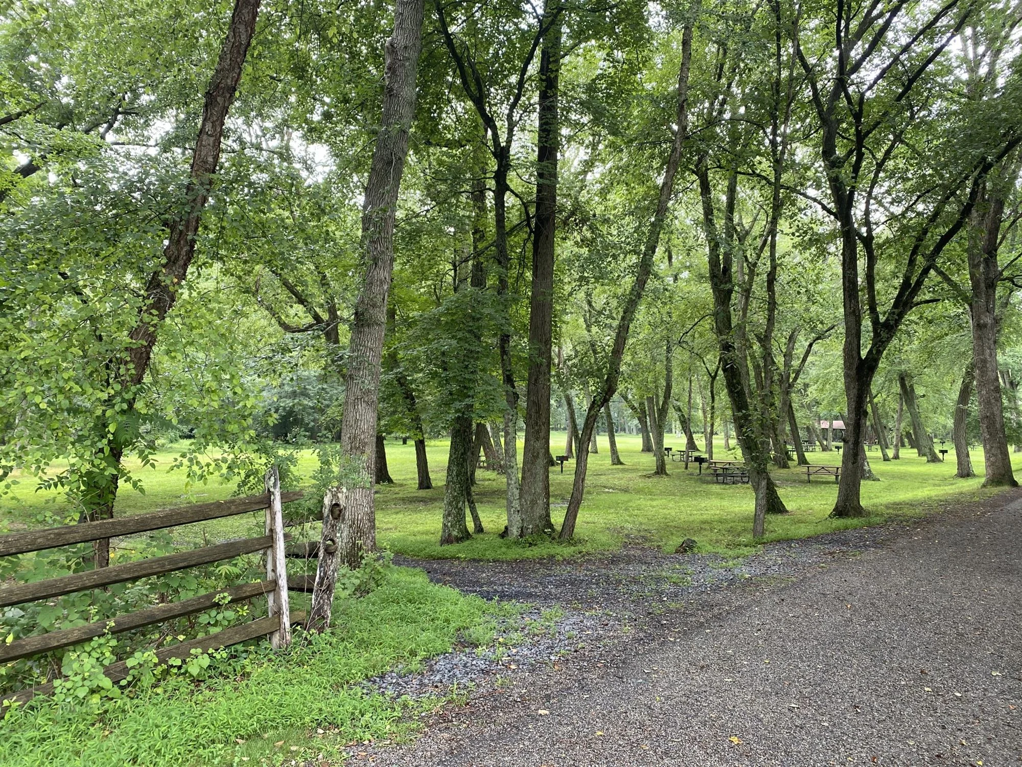 Allaire State Parks path