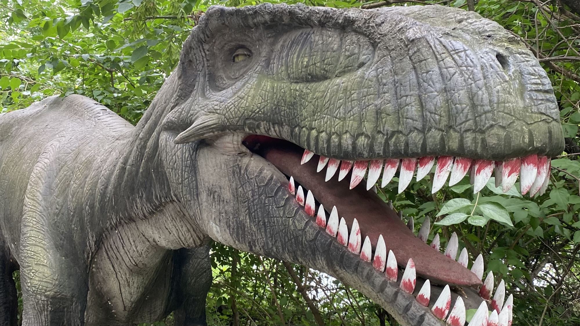 Events - NJ Field Station: Dinosaurs