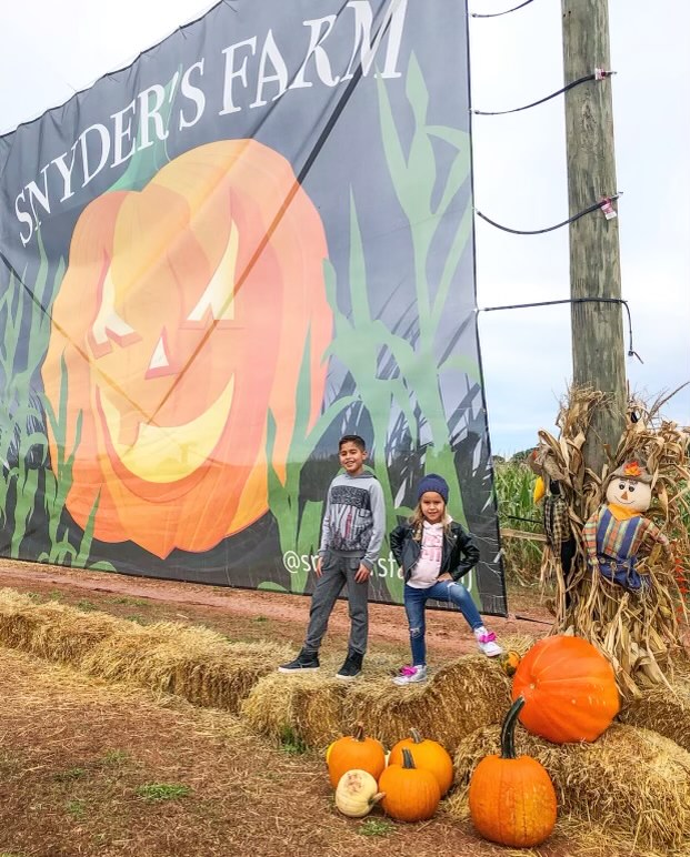 fall activities in NJ Snyder's Farm New Jersey