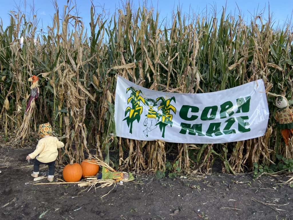 fall activities in NJ corn maze New Jersey