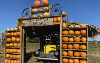 Happy Day Farm New Jersey