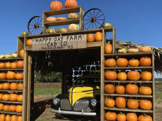 Happy Day Farm New Jersey