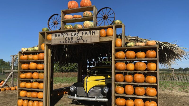 Happy Day Farm New Jersey