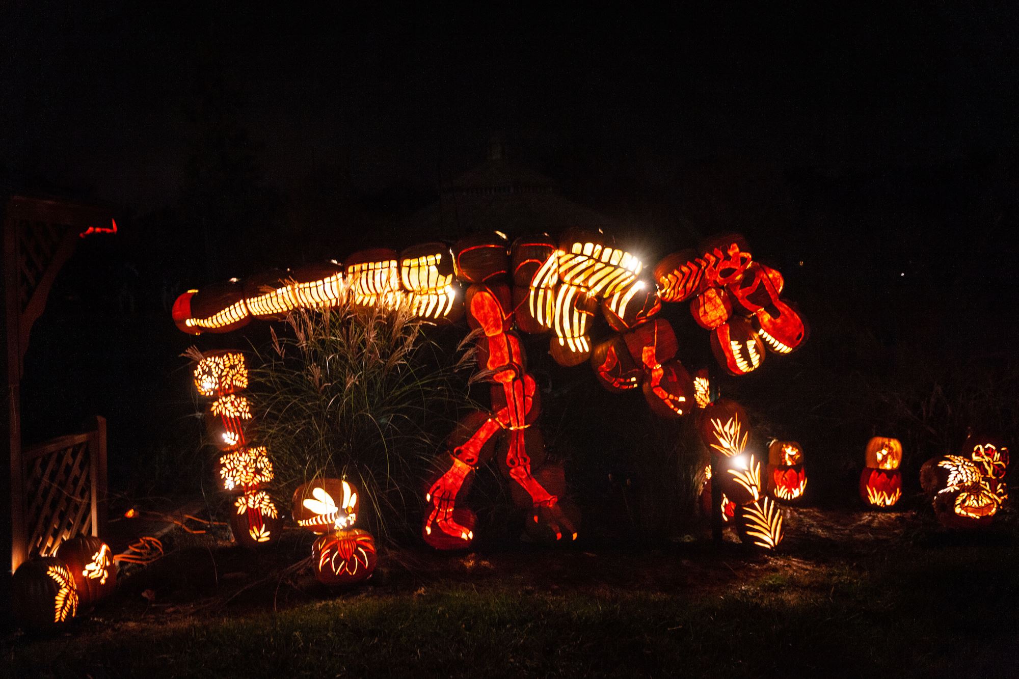 Halloween Family Light Show at Demarest Farms in Hillsdale New Jersey