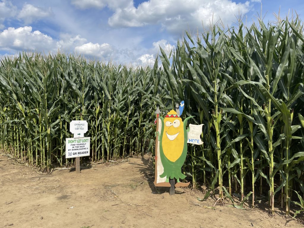 happy day farm corn maze New Jersey