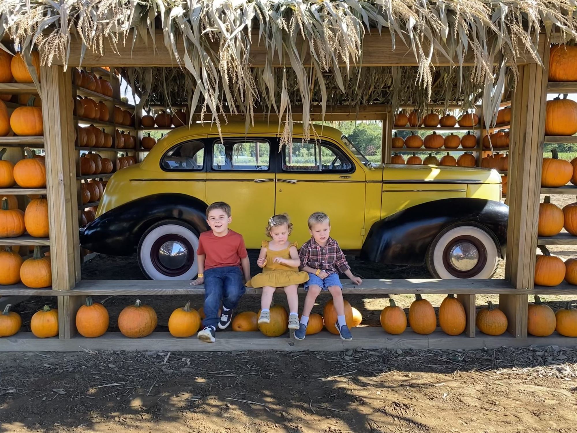 Happy Day Farm car nj mom