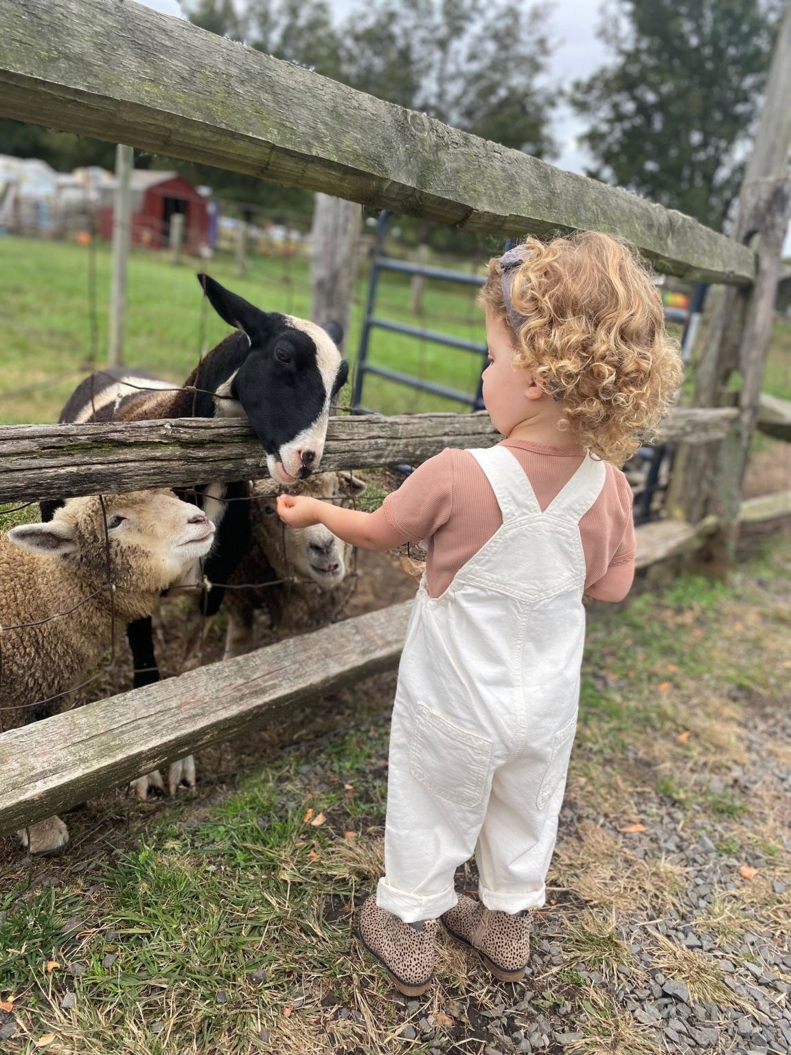 Outdoor Activities In NJ What To Do In Every Season