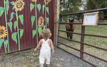 outdoor activities in NJ Atlantic Farms New Jersey