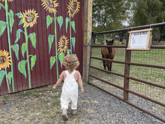 outdoor activities in NJ Atlantic Farms New Jersey