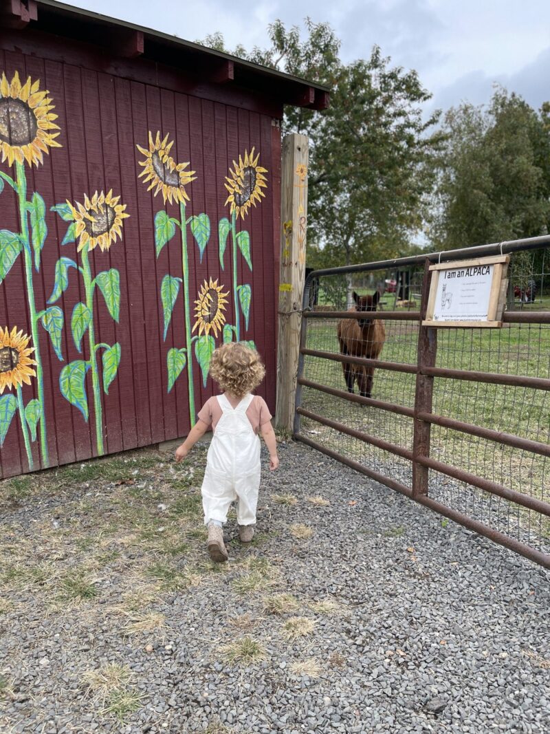 outdoor activities in NJ Atlantic Farms New Jersey