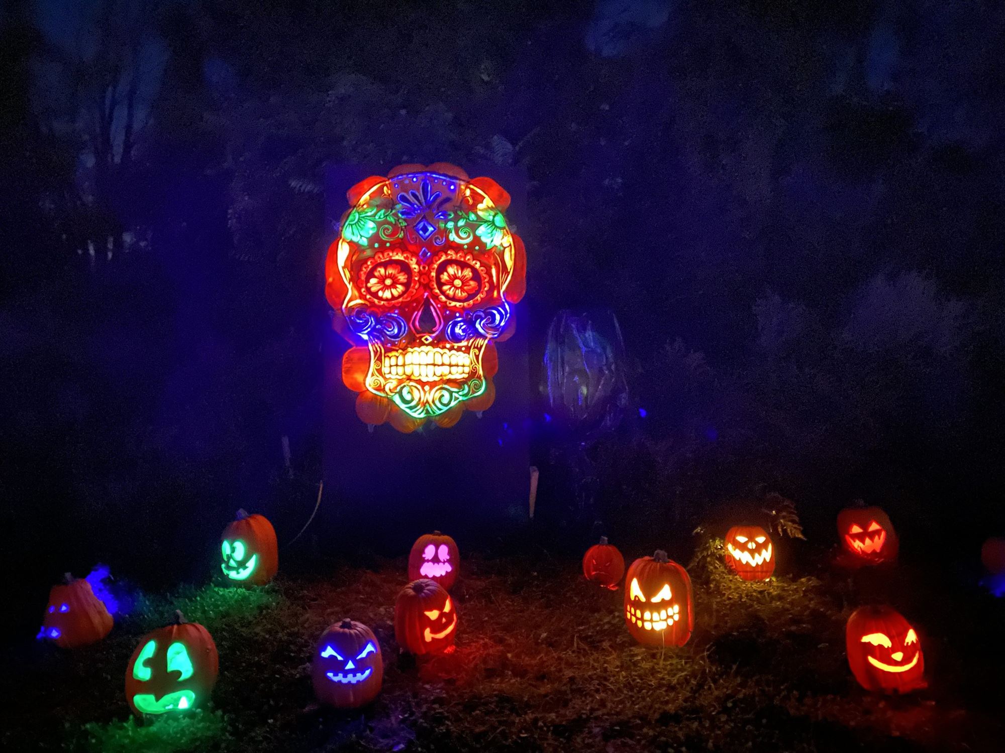 skylands stadium jack o'lantern experience day of the dead New Jersey