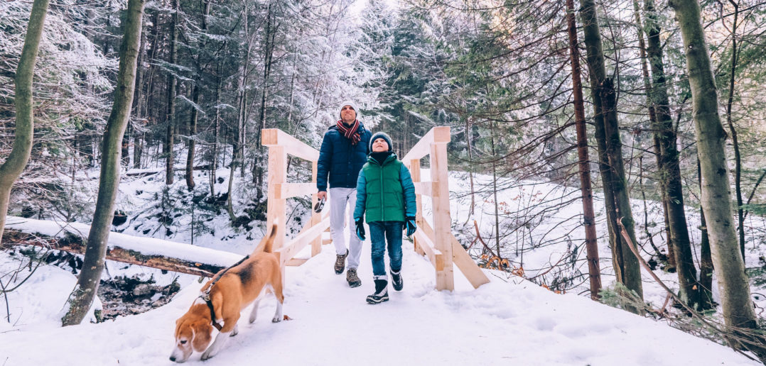 21 Places To Take A First Day Hike In NJ For A Fresh New Year