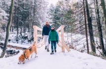 First Day Hikes in NJ