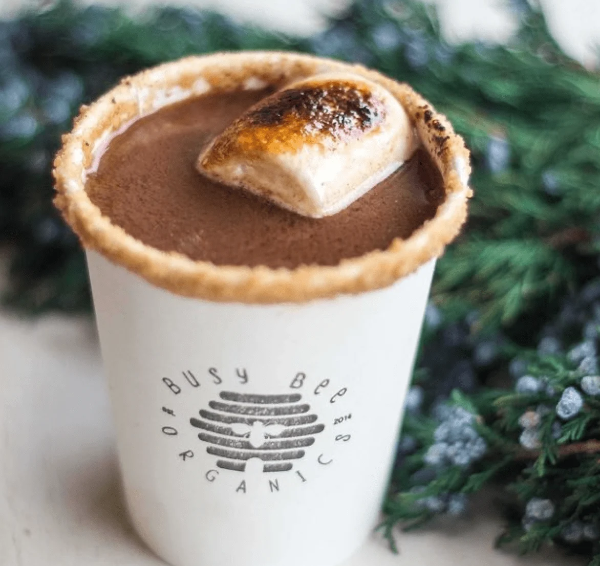 Hot Cocoa nj mom