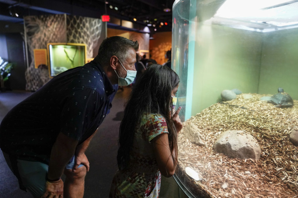 Winter Activities In NJ Our NJMOM Winter Bucket List