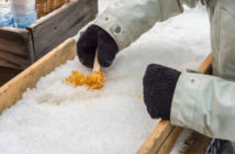 Maple Sugaring in NJ