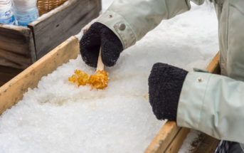 Maple Sugaring in NJ