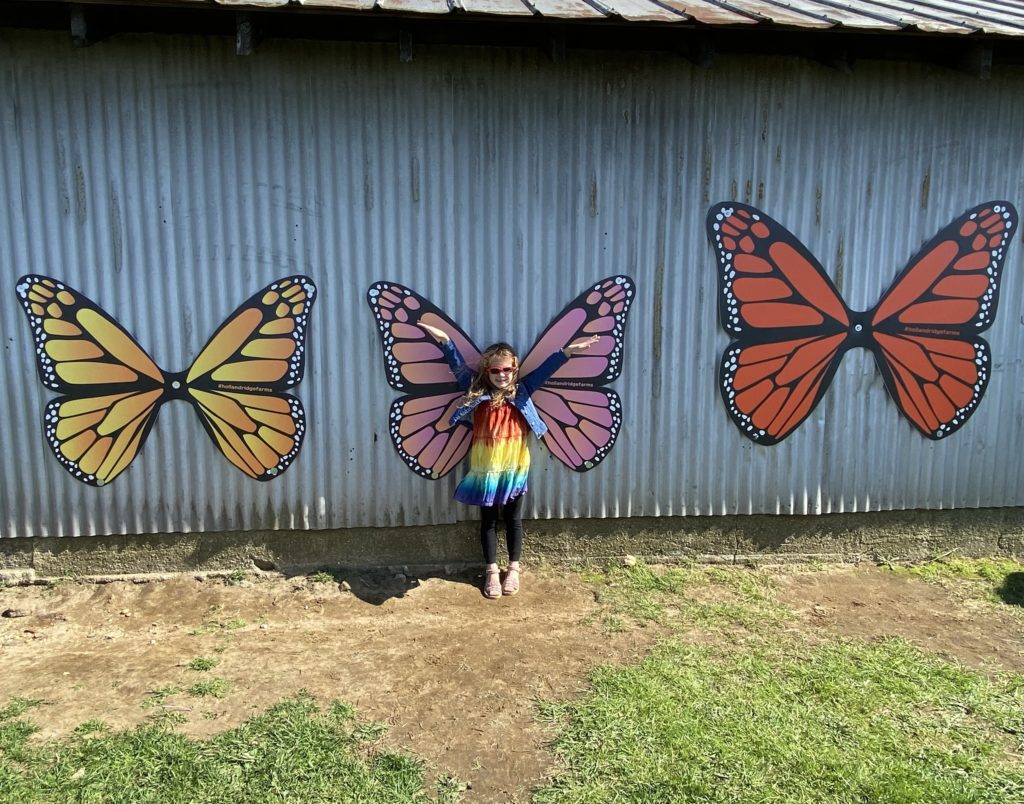 Holland Ridge Farms butterfly