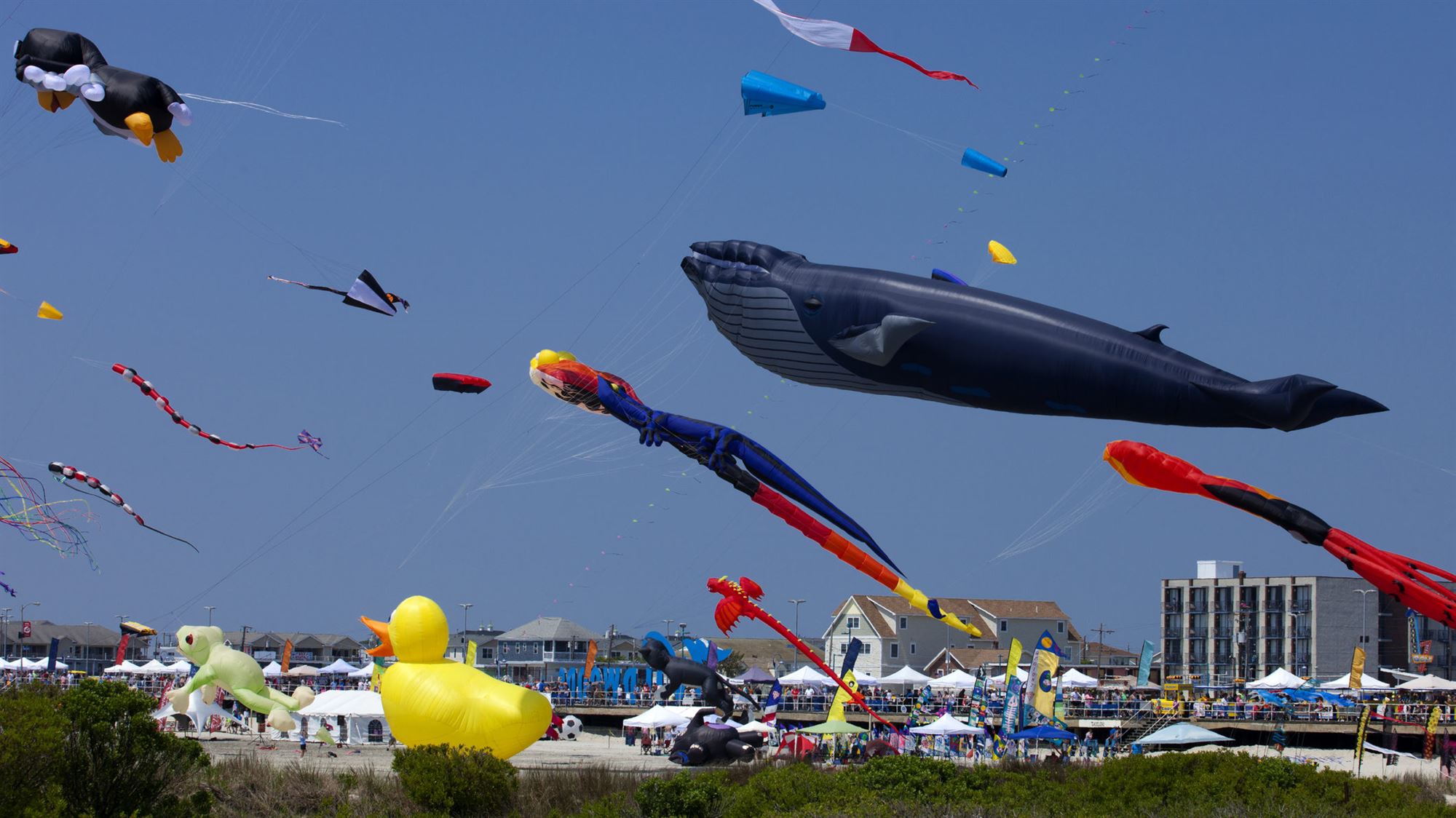 Fairs & Festivals  Sussex County, New Jersey