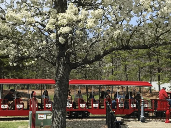 Historic Smithville May 9