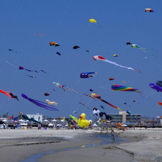 Wildwoods International Kite Festival