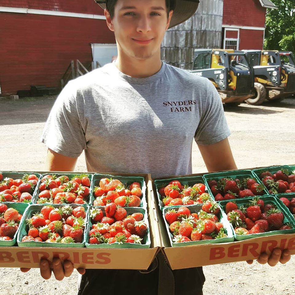 strawberry picking in NJ, fruit picking in New Jersey 