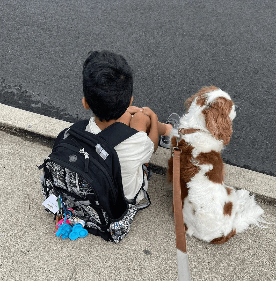 Adventures of the Week