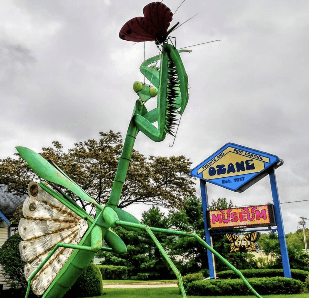  Insectropolis praying mantis