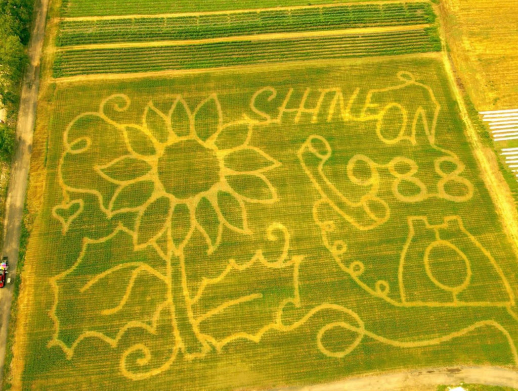 ortfarms_corn maze in nj_new jersey long valley nj corn maze