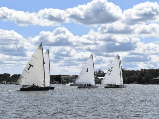 Sailfest TTD
