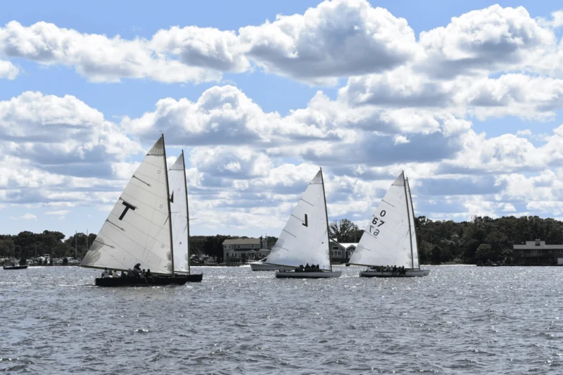 Sailfest TTD