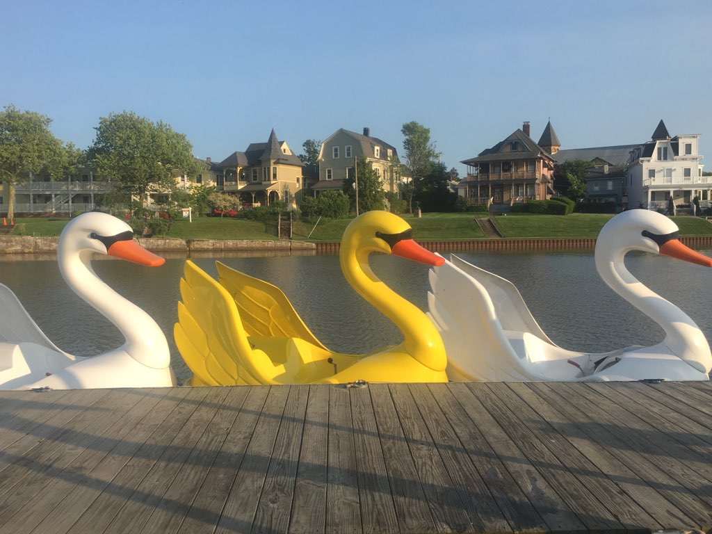 things to do in Asbury park swans