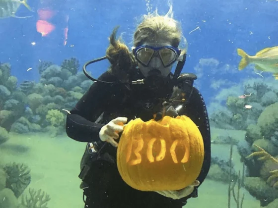 October 15 TTD