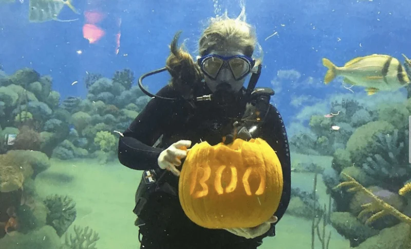 October 15 TTD