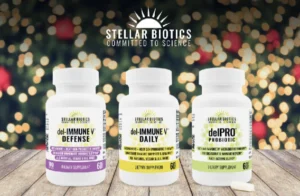 gift guide 2022 stellar 2 nj mom