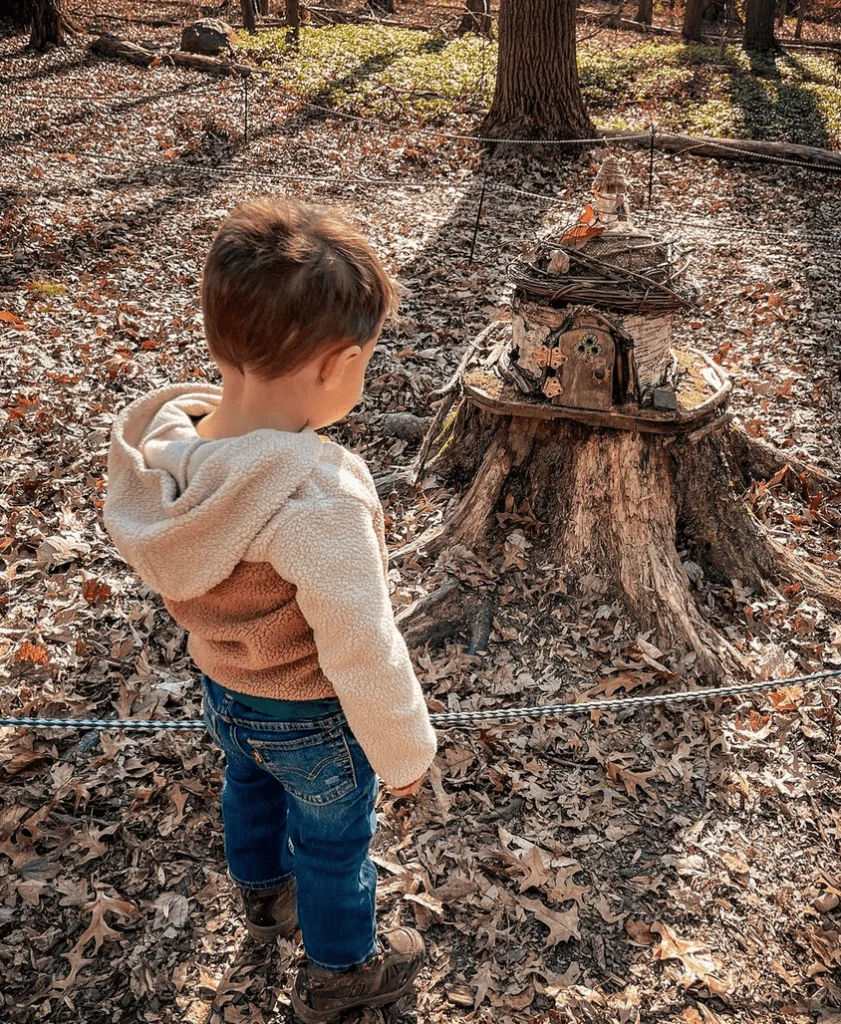 Adventures of the Week