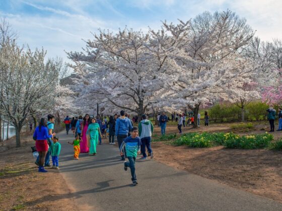 Bloomfest Free TTD NJ Mom