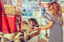 Stella Farms Strawberry Festival Berlin Kid-Friendly TTD NJ Mom